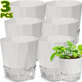 Self-Watering Plant Pots (Set of 3)