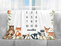 Baby Milestone Blanket