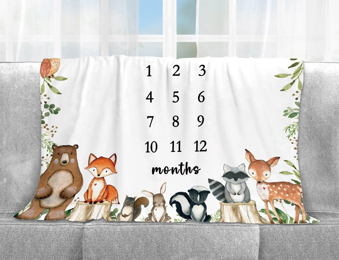 Baby Milestone Blanket