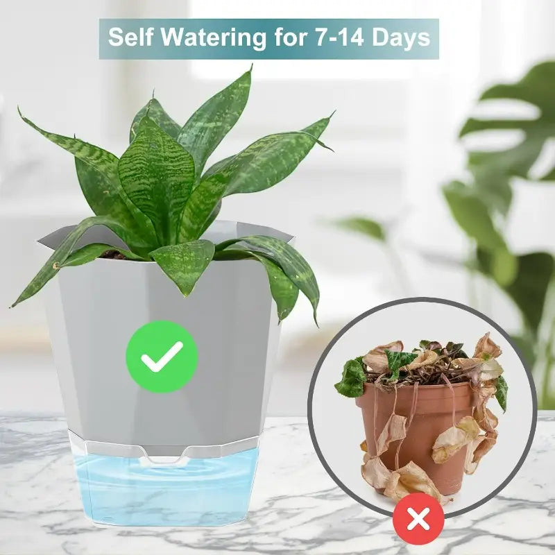 Self-Watering Plant Pots (Set of 3)