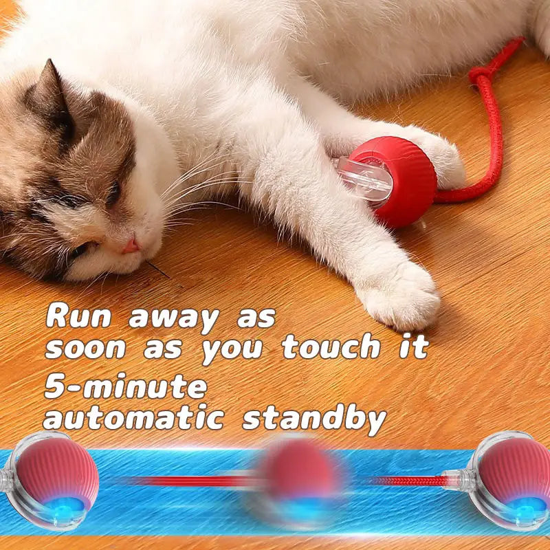 Interactive Smart Self-Rolling Pet Ball