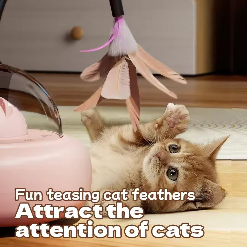 Interactive LED Laser Pointer & Feather Teaser Cat Toy