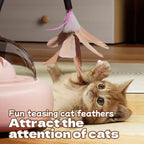 Interactive LED Laser Pointer & Feather Teaser Cat Toy