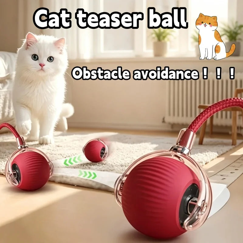 Interactive Smart Self-Rolling Pet Ball