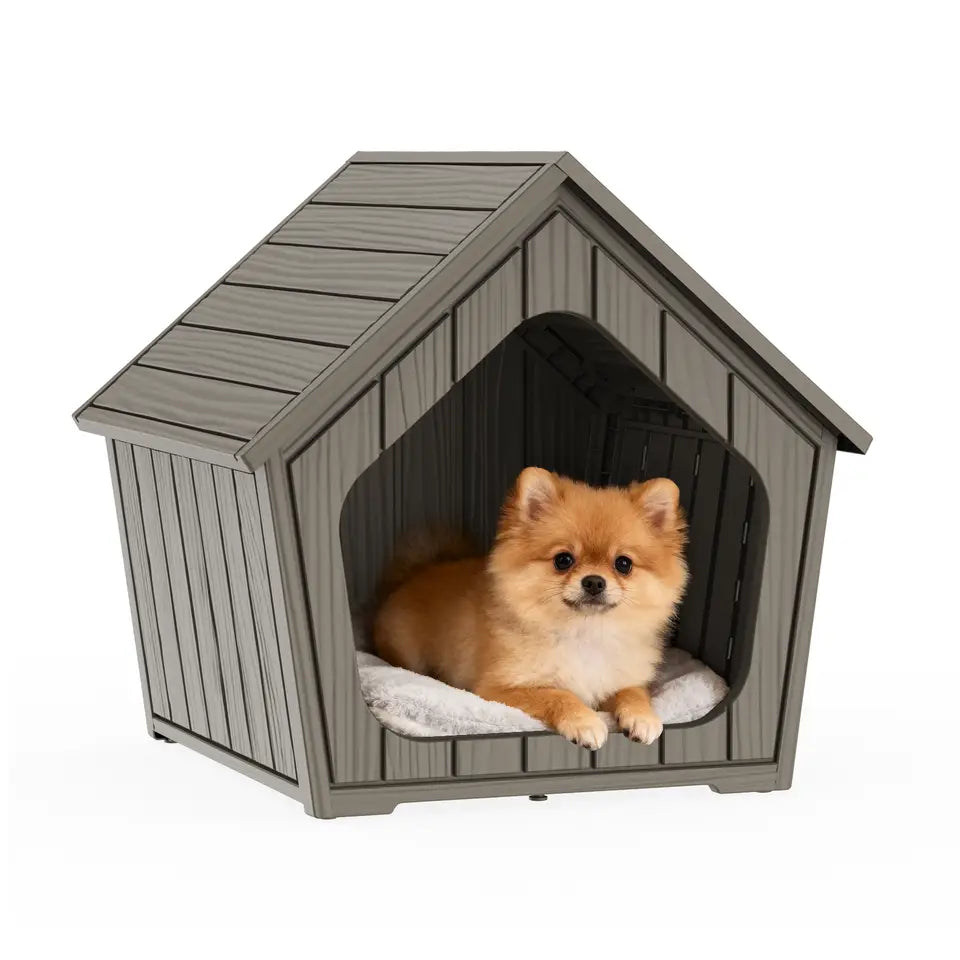 Donation to Animal Shelters