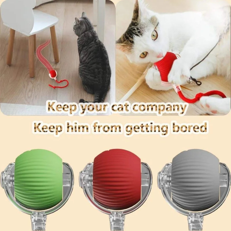 Interactive Smart Self-Rolling Pet Ball