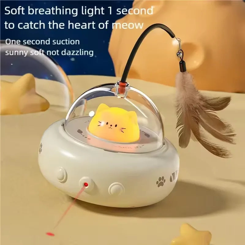 Interactive LED Laser Pointer & Feather Teaser Cat Toy