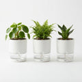 Self-Watering Plant Pots (Set of 3)